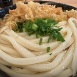 Sanuki Udon Joube - 