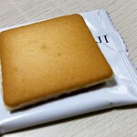楓乃樹 - 