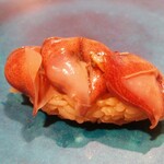 鮨 おにかい×2 - 今が旬の富山産ホタルイカ。私も含めた蛍烏賊大好き人間がこのむ「あのクセ」がしっかりと味わえつつ、決していやらしくならない絶妙加減。