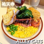 ALLEY CATS - 