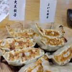 よいち餃子大王 - よいち餃子と大王餃子