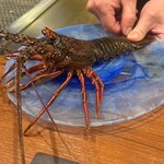 銀座 鉄板焼き Sublime - 