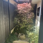 料理屋 しん谷 - 