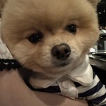 ガストロノミヤ 古賀圭祐 - 