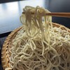 Ebina Ueno Yabusoba - 