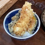 喉越しの蕎麦晴朗 - ミニイカ天丼