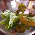 Dog Dept Garden Karuizawa Ten