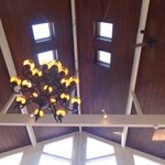 ドッグデプトガーデン - 