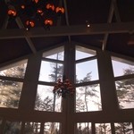 ドッグデプトガーデン - 