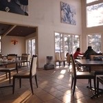 ドッグデプトガーデン - 