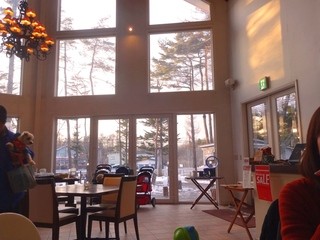 ドッグデプトガーデン - 