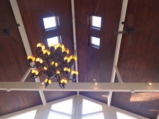 ドッグデプトガーデン - 