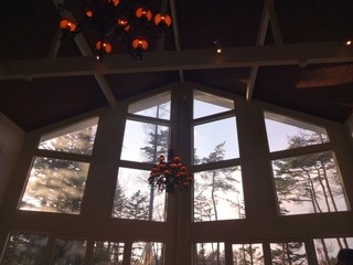 ドッグデプトガーデン - 