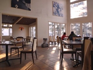 ドッグデプトガーデン - 