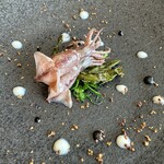 レヴォ - 生きていた蛍烏賊を薪で炙って。海藻ナガラモはネバネバ、豆のスプラウトはシャキシャキ。
      イカ墨ソースと新玉ねぎソース、蛍烏賊のジュをかけて。炙ったマスタードを散らしています。絶妙な火入れ。