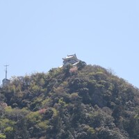 潜龍 - 