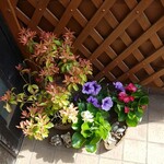 キッチン ブルー グローブ - 玄関に飾りますが、台座は必須ですね