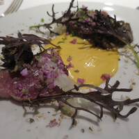 レフェルヴェソンス - 