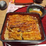 Edomae Unagi Kawashou - 