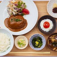 自家製デミグラスソース煮込み鶏ハンバーグ