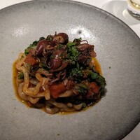 MOTORA  - 