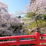 Poruto Buran - 快晴で満開の美しい桜です