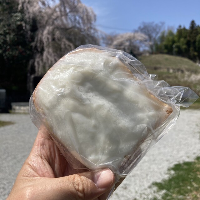 みどりの屋根 - 要田（パン）の写真