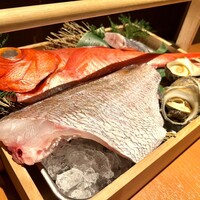 寅八商店 心斎橋店 - 