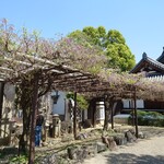 カレーリックス - 藤の花はあと少しで…かなぁ♪(´ε｀ )