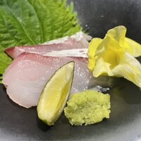 大阪 京橋 鮨 黒潮海閤 - 