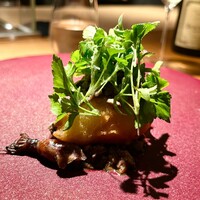 Metis 六本木 - 