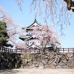 喫茶 北の郭 - 弘前城の天守閣と快晴で満開の桜です