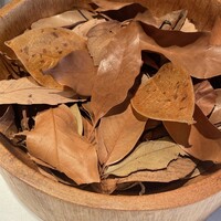 ルカンケ - 食べられる葉っぱは？