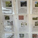 ジェラテリア モンクション - 