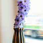 江戸そば マルノ - 内観