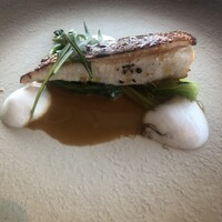 International cuisine subzero - 