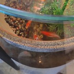 きんぎょcafe 柳楽屋・陽だまり - 