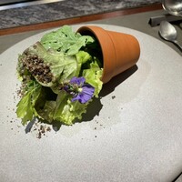鉄板焼き 表参道 - 