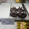 ボナール洋菓子店
