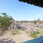喫茶 北の郭 - 弘前城の天守閣からの快晴で満開の桜です