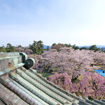 Kissa Kitano Kuruwa - 弘前城の天守閣からの快晴で満開の桜です