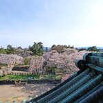 Kissa Kitano Kuruwa - 弘前城の天守閣からの快晴で満開の桜です
