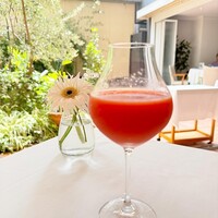 カーザ ヴィニタリア - 