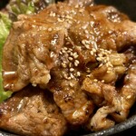 カルピ丼専門店 スタミナ亭 - 2024.3.28  カルピ定食