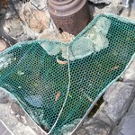 勝烈庵 - 外観 入り口左には金魚さんがいます