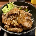 カルピ丼専門店 スタミナ亭 - 2024.3.28  カルピ定食