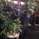 鉄板焼き Oribe - 