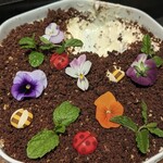 EL DORADO / ホテル イル・パラッツォ - 