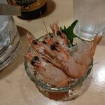 Sushi Tempura Gosakutei - ●夕食 単品。活車海老748X8(造り+塩焼)+ﾂﾏﾐｲｸﾗ1078=7,062円 