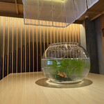 裏難波スシトフジ - 